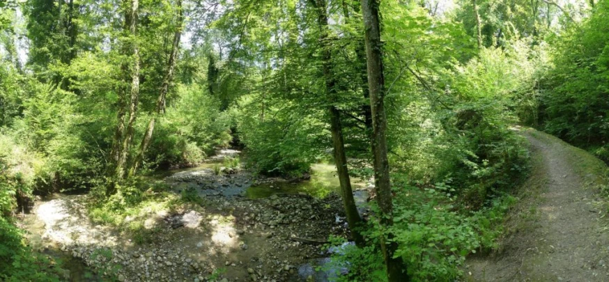 cheseaux-renens-lausanne-168