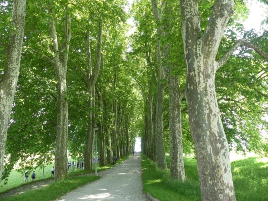 cheseaux-renens-lausanne-187