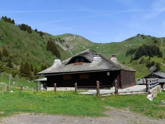 col-de-bretaye-les-diablerets-101