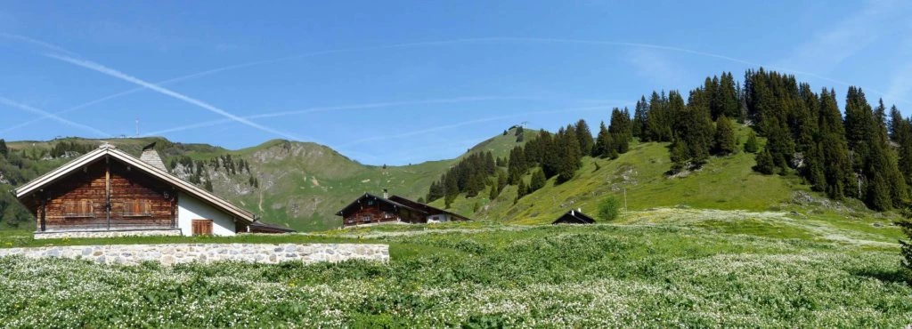 col-de-bretaye-les-diablerets-105