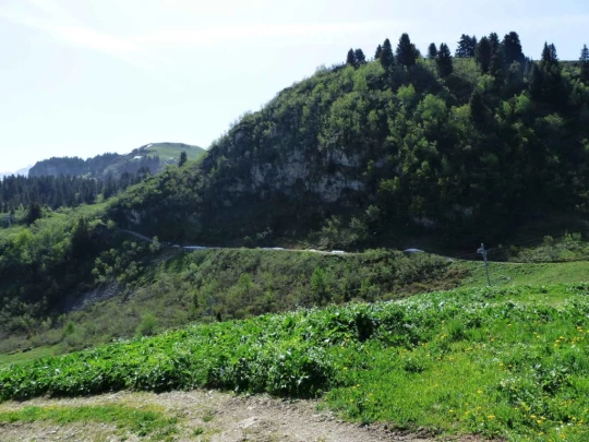 col-de-bretaye-les-diablerets-106