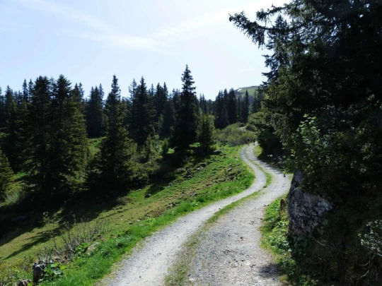 col-de-bretaye-les-diablerets-107