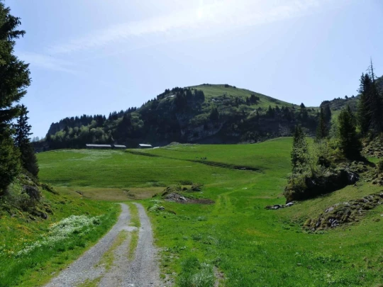col-de-bretaye-les-diablerets-110