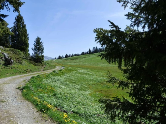 col-de-bretaye-les-diablerets-112