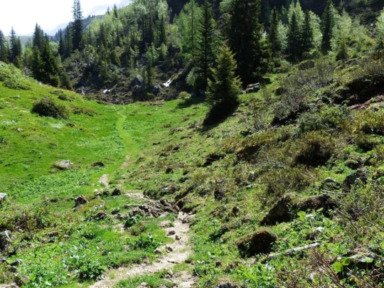 col-de-bretaye-les-diablerets-116