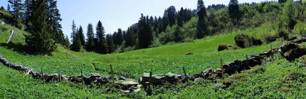col-de-bretaye-les-diablerets-119
