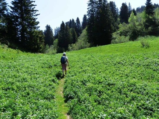col-de-bretaye-les-diablerets-121