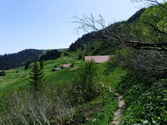 col-de-bretaye-les-diablerets-123