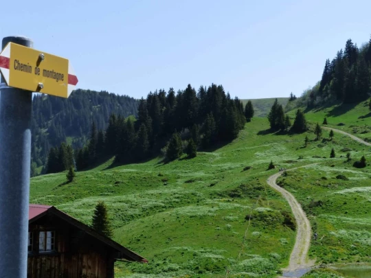 col-de-bretaye-les-diablerets-125