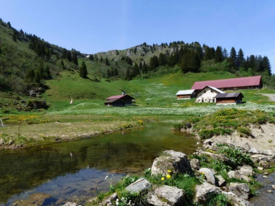 col-de-bretaye-les-diablerets-126