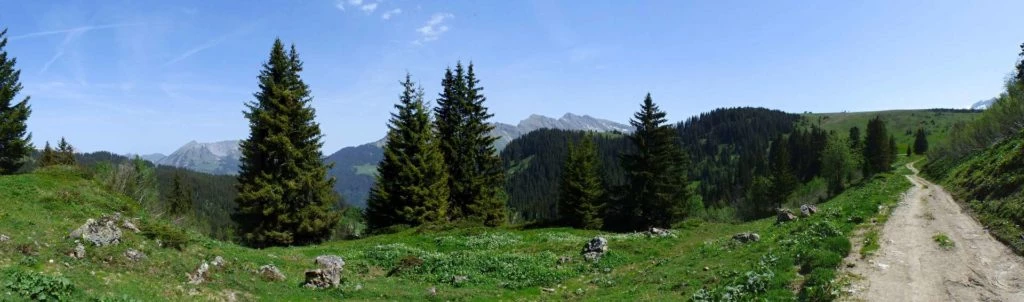 col-de-bretaye-les-diablerets-130