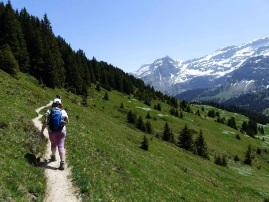 col-de-bretaye-les-diablerets-139