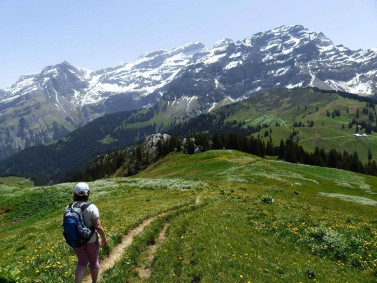 col-de-bretaye-les-diablerets-142