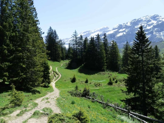 col-de-bretaye-les-diablerets-144
