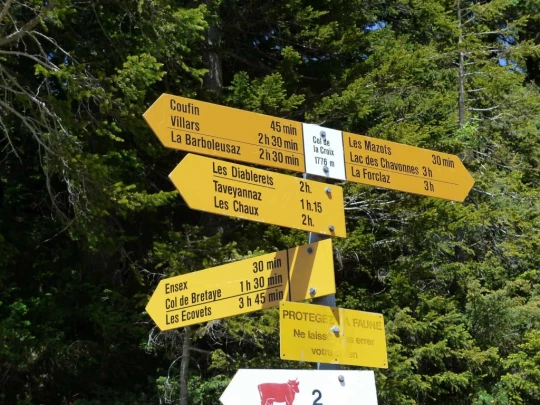 col-de-bretaye-les-diablerets-145