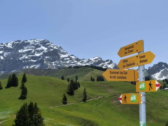 col-de-bretaye-les-diablerets-147