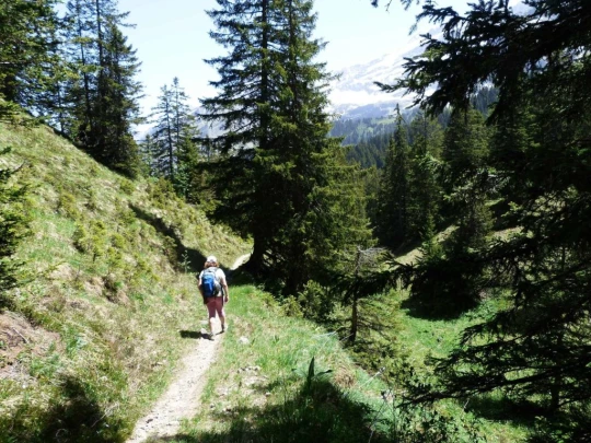col-de-bretaye-les-diablerets-149