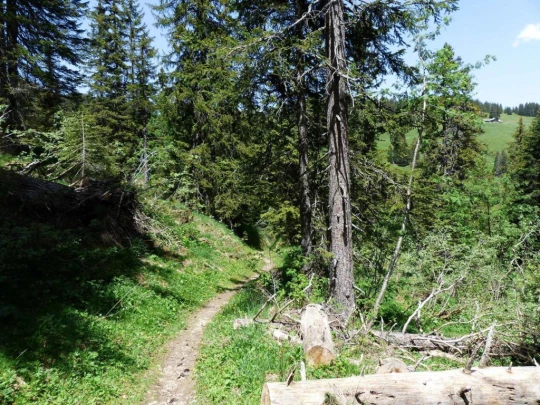 col-de-bretaye-les-diablerets-150