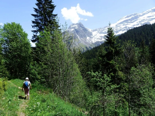 col-de-bretaye-les-diablerets-153
