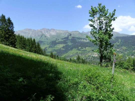 col-de-bretaye-les-diablerets-156