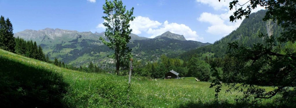 col-de-bretaye-les-diablerets-157