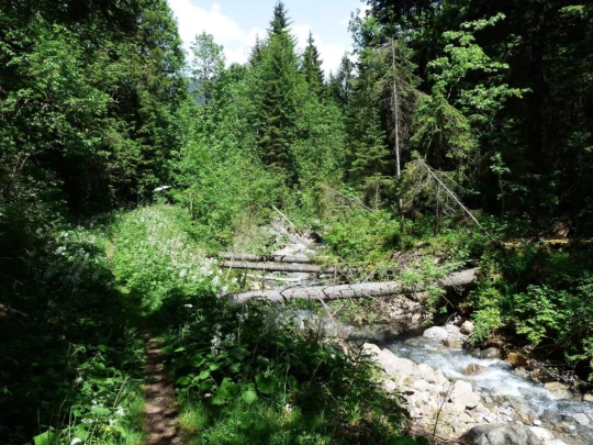 col-de-bretaye-les-diablerets-160