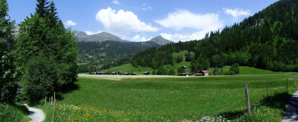 col-de-bretaye-les-diablerets-167