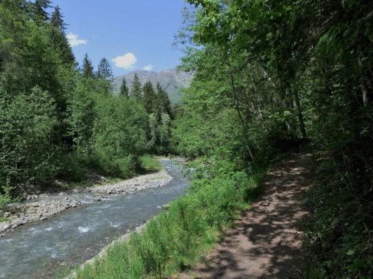 col-de-bretaye-les-diablerets-168
