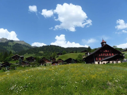 col-de-bretaye-les-diablerets-171