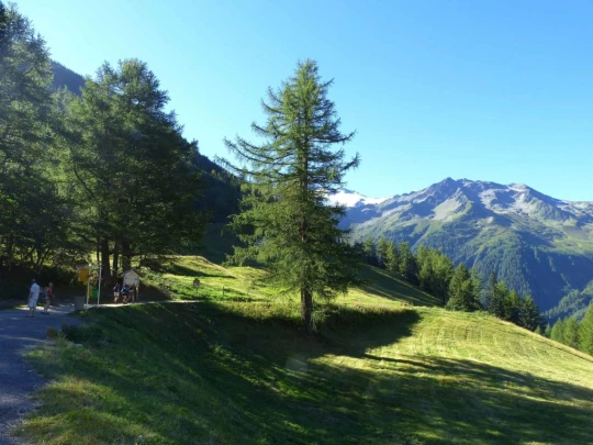 col-de-la-forclaz-le-chatelard-101