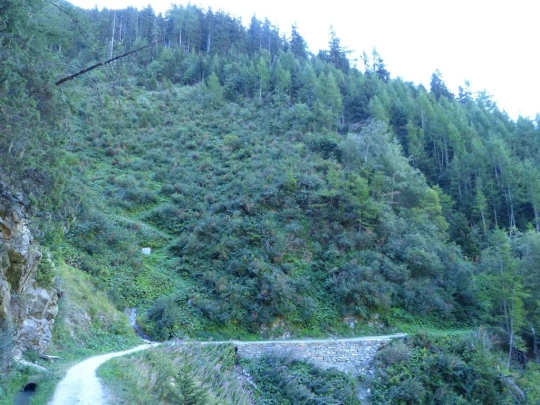 col-de-la-forclaz-le-chatelard-113