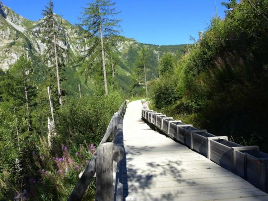 col-de-la-forclaz-le-chatelard-117