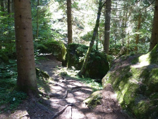 col-de-la-forclaz-le-chatelard-174