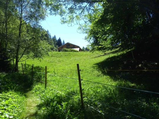 col-de-la-forclaz-le-chatelard-176