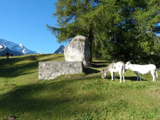 col-de-la-forclaz-martigny-100