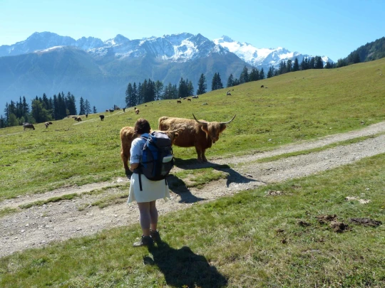 col-de-la-forclaz-martigny-149