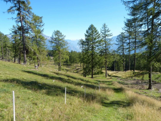 col-de-la-forclaz-martigny-154