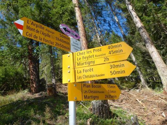 col-de-la-forclaz-martigny-156