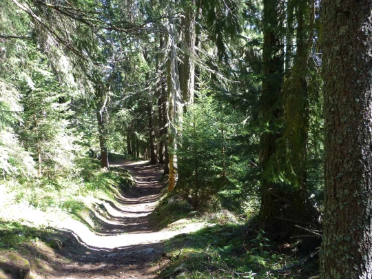 col-de-la-forclaz-martigny-159