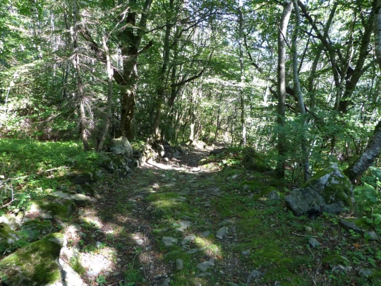 col-de-la-forclaz-martigny-173