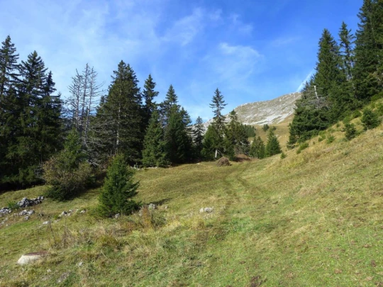 col-des-mosses-leysin-112