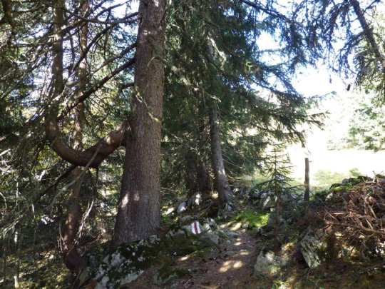col-des-mosses-leysin-113
