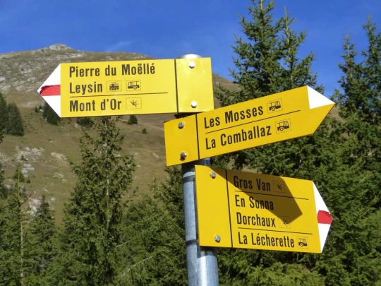 col-des-mosses-leysin-116