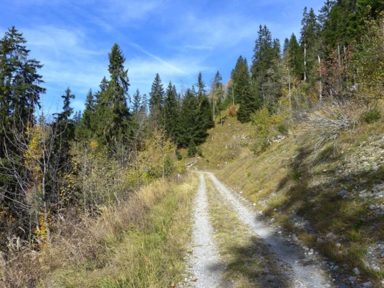 col-des-mosses-leysin-132