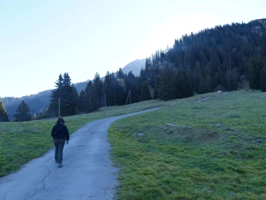 col-des-mosses-lioson-col-des-mosses-107
