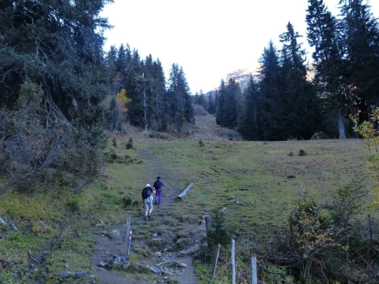 col-des-mosses-lioson-col-des-mosses-108