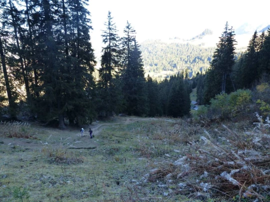 col-des-mosses-lioson-col-des-mosses-109