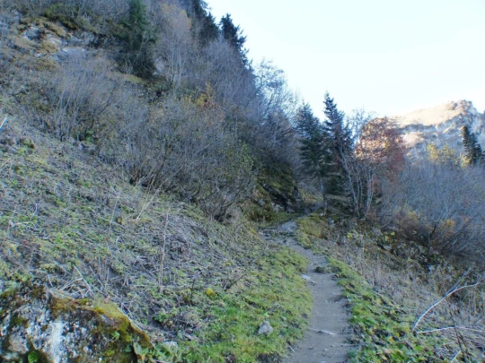 col-des-mosses-lioson-col-des-mosses-113