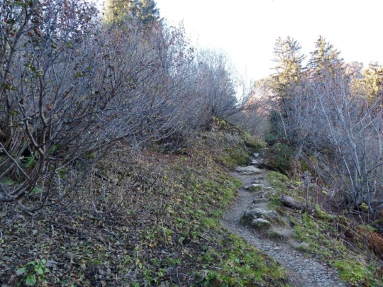 col-des-mosses-lioson-col-des-mosses-115