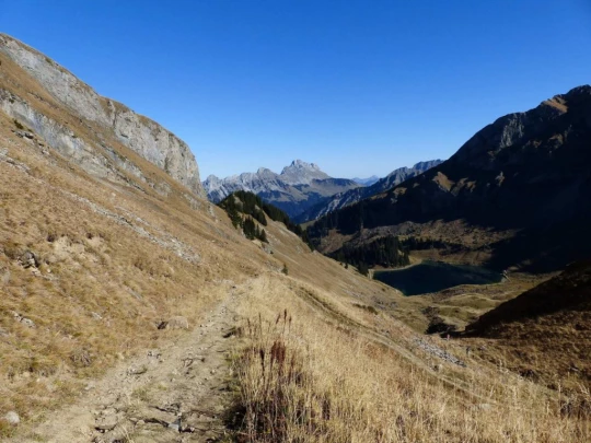 col-des-mosses-lioson-col-des-mosses-145